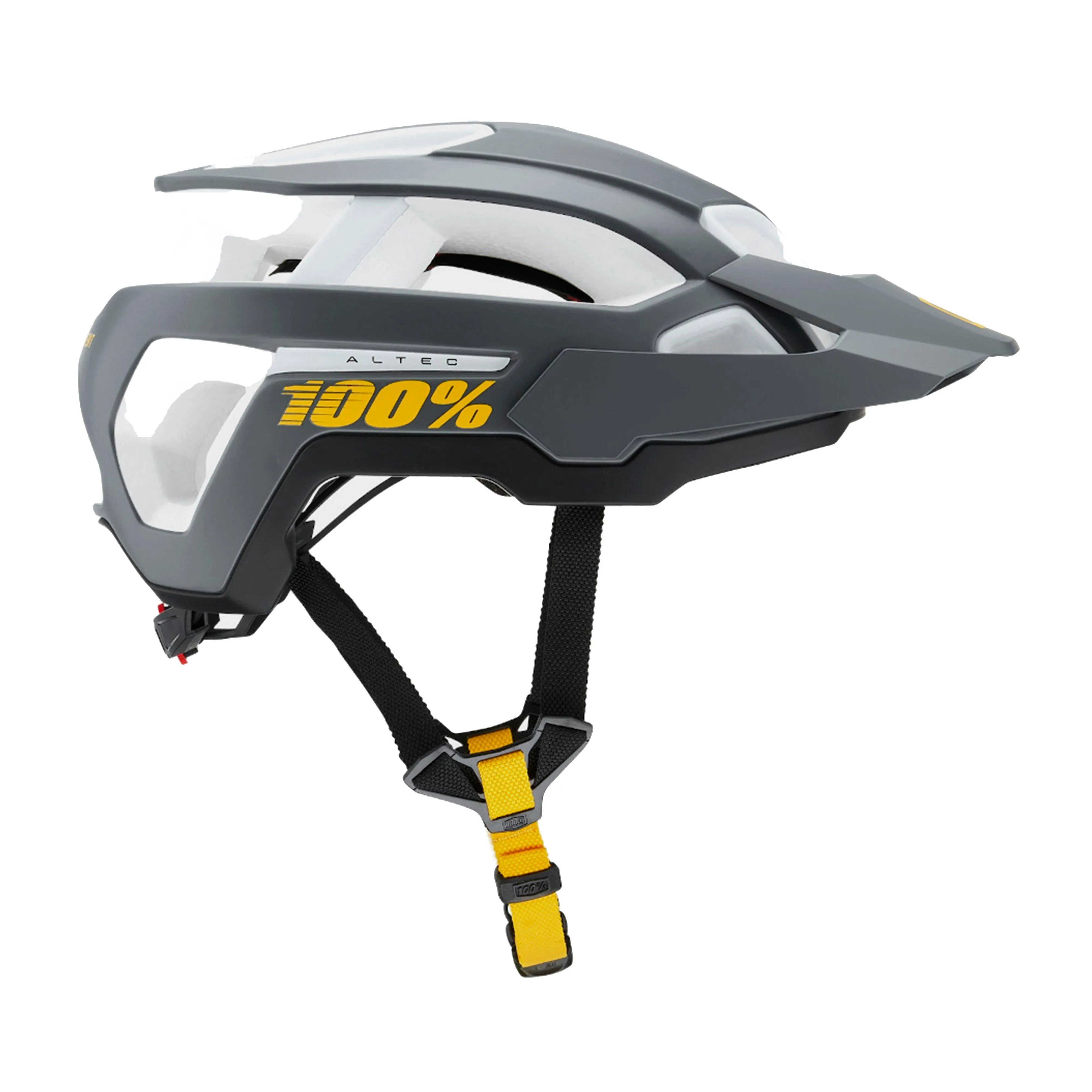 100% Altec Helmet | Millets