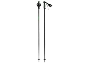 Head Frontside Anthracite Ski Pole Green