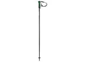 Head Frontside Green Ski Pole