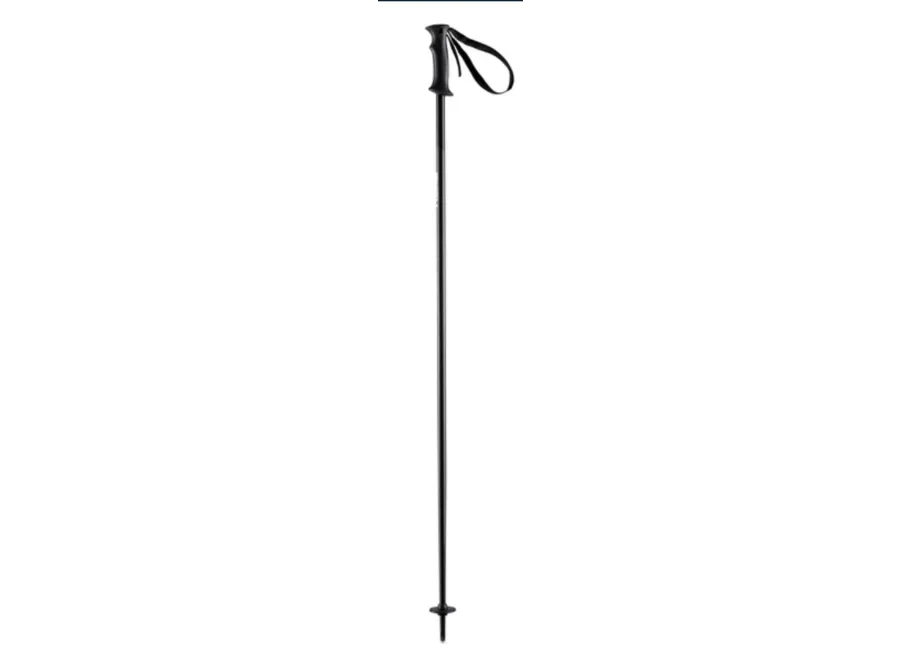 Head Joy Ski Pole Black