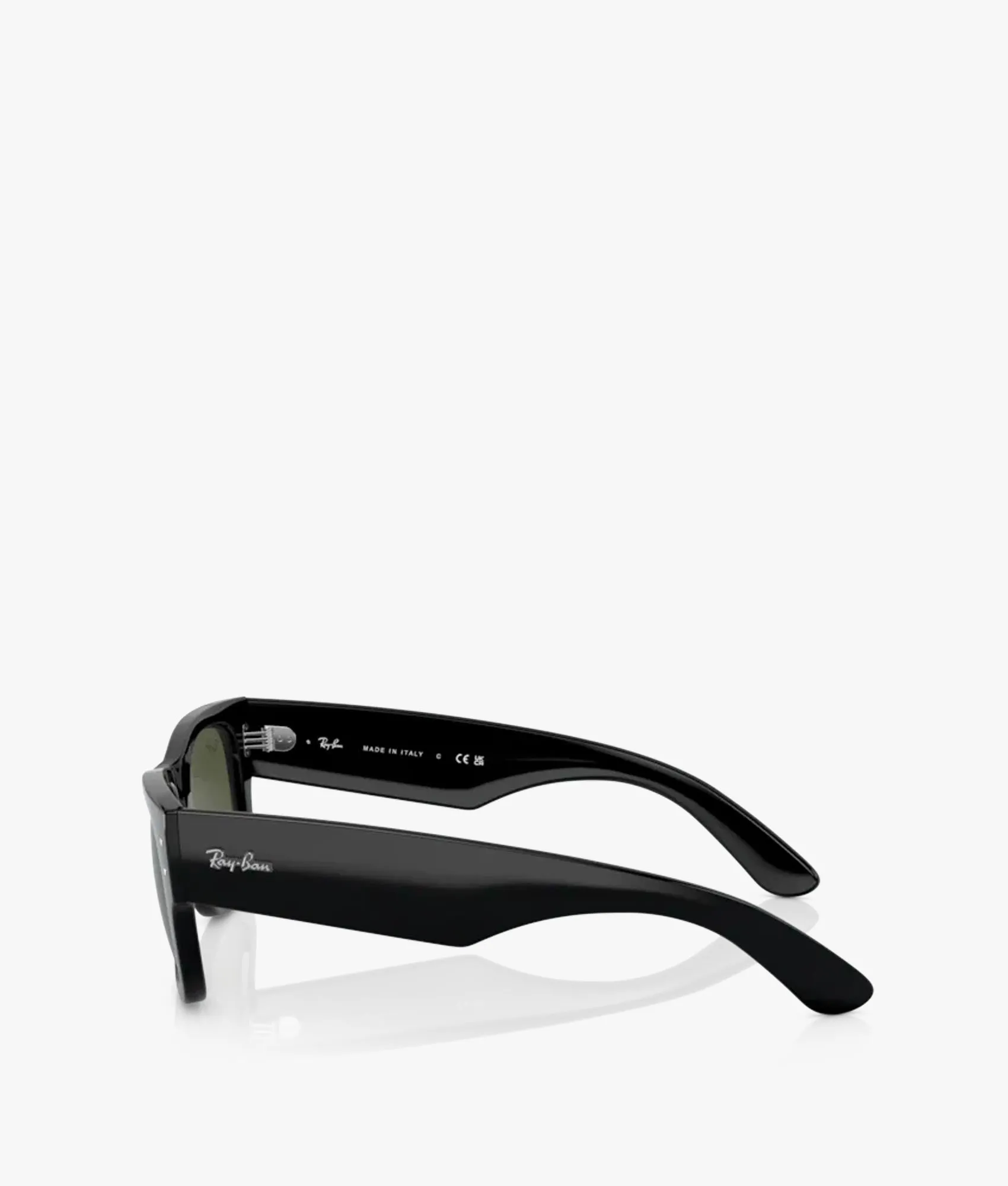 Mega Wayfarer Sunglasses